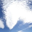 시즌글라스 이미지