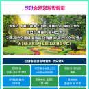 신안슈퍼