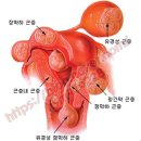 린사랑의원 | 01.장막하 자궁근종 이야기(발견 계기, 병원투어, 추적관찰)