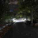 계룡산동학사자동차야영장 이미지