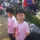 당정초등학교 이미지