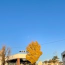 엘티디씨 유한회사 이미지