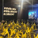 상남동247 이미지