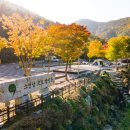 소선암오토캠핑장 이미지