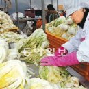 네보름영농조합법인 이미지