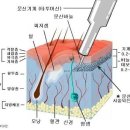 홍샵