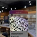 씨채널안경콘택트 이미지