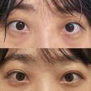 더멘토성형외과의원 이미지