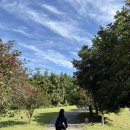 소길공간 민박 이미지