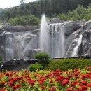 불갑저수지 수변공원 이미지