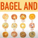 Bagle and(베이글앤드)