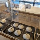 도대리카페 이미지