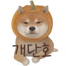 스시쿄다이 이미지