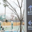 동탄 여울공원 축구장 이미지