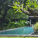 와이낫짐 | 2일차 - 4박6일 여행 후기(과일퍼블릭마켓/더헨리...그랜드로얄스파마사지/로빈슨마켓/와이낫레스토랑)