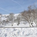 양떼목장 이미지