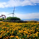 28산우회 10월 가을여행 (거창 감악산&amp;아스타국화축제) 이미지