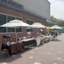 농다리 | 진천 농다리축제 후기 🐉 / 주차·맛집·메타세콰이어길 산책코스 총정리 (2026)