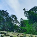 거제힐스토리키즈풀빌라 이미지