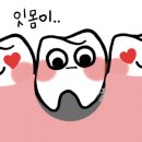 정성플러스치과 이미지
