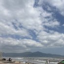 오호약국 네이버블로그