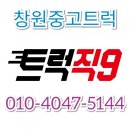 진해윙바디용달