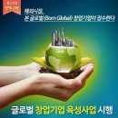 본 글로벌(Born Global) 창업 확대 시행/중소기업청 이미지