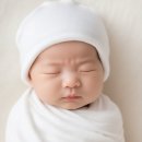 복덩이 한우2 | 임신기록 : 임신기간 동안에 무슨 일이 있었지(2)