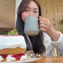 헬로우제주여행사
