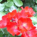 오월에윤 이미지