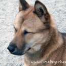 (주)림스 이미지