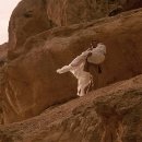 Movies & English 이미지