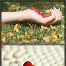 사계절한의원 이미지