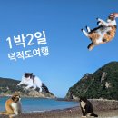 지에스(GS)25해운재송점 | 덕적도 1박2일 여행기, 이제 차량선적 예매 실패후기를 곁들인