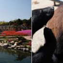 자연속의 휴식공간 이미지