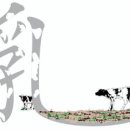 영남우유