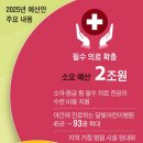 병장 월 205만원, 육아휴직 급여 250만원 20240828 조선 外 이미지