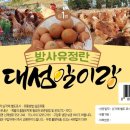 대섬알이랑 이미지