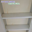 등대카모터스 이미지