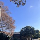 59피자 도당동 강남시장점 | [제주] 12월 제주 여행 첫째날