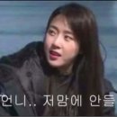 카드킹덤