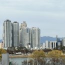 핫구 이미지