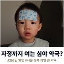 성북제일큰약국 | 서울 심야 약국! 성북 제일 큰 약국