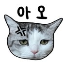 다포횟집