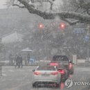 이루다호텔 앞 이미지