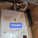 교방동150 이미지