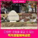 백석생활체육공원 리틀야구장 | 양주 다양한 운동을 즐길 수 있는, 백석생활체육공원