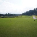 더비치라데나 이미지