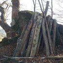 당숲 느티나무 앞 이미지