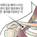 연세신통의원 이미지